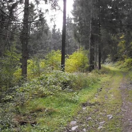 Im Oberharz In *