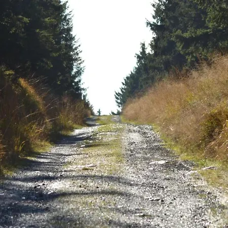 Апартаменты Im Oberharz In *