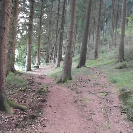 Im Oberharz In Wildemann