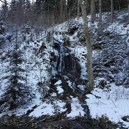 Im Oberharz In * Wildemann