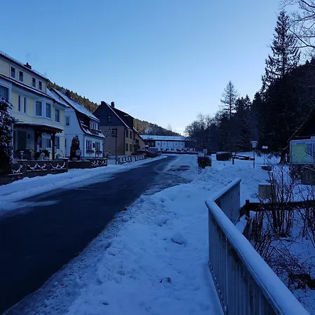 Апартаменты Im Oberharz In *