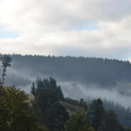 Im Oberharz In