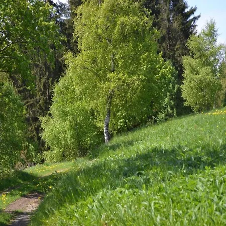 Apartment Im Oberharz In *