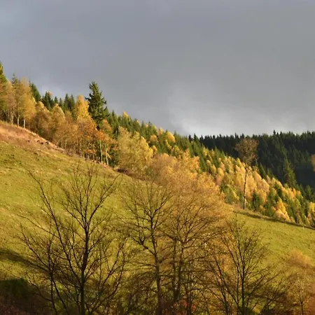 Im Oberharz In Wildemann