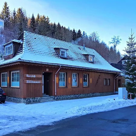 Im Oberharz In Apartment Wildemann