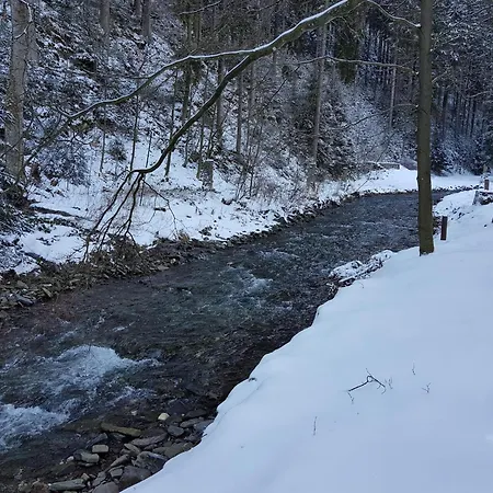 Im Oberharz In *