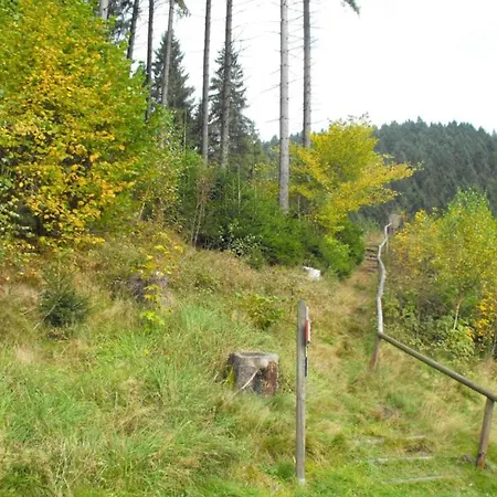 Im Oberharz In