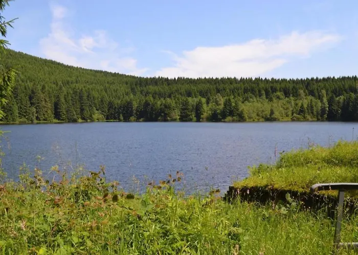 Im Oberharz In Διαμέρισμα Wildemann
