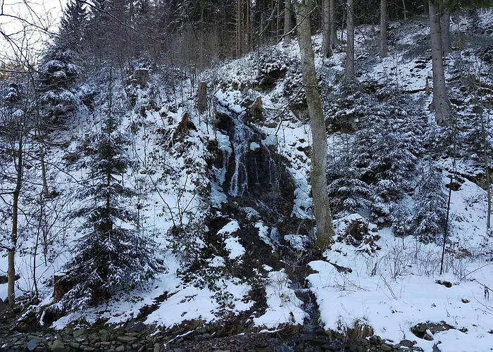 Im Oberharz In * Wildemann