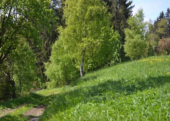 Διαμέρισμα Im Oberharz In *