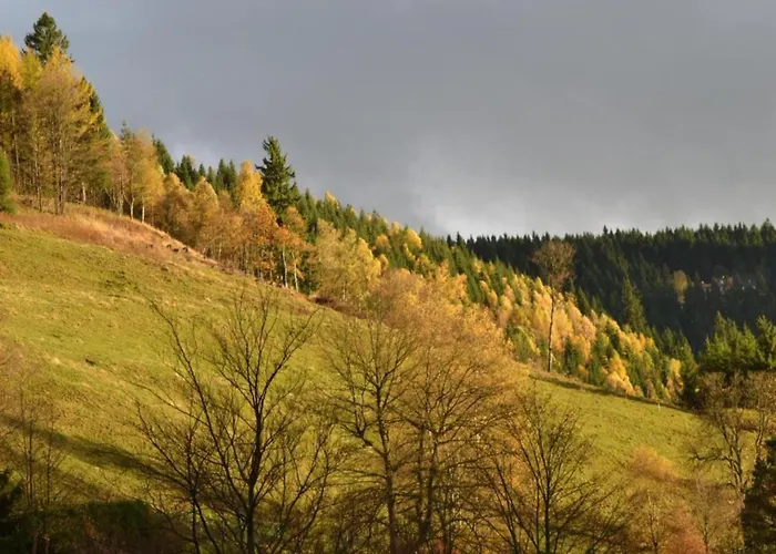 Im Oberharz In Wildemann