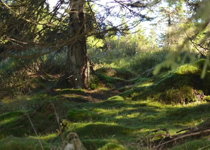 Διαμέρισμα Im Oberharz In Wildemann