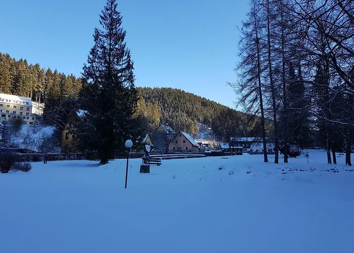 Im Oberharz In Διαμέρισμα Wildemann